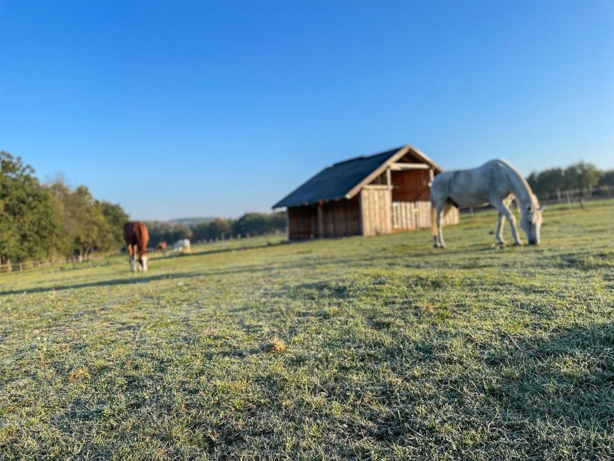 Villa Dům splněných přání Praslavice Exterior foto